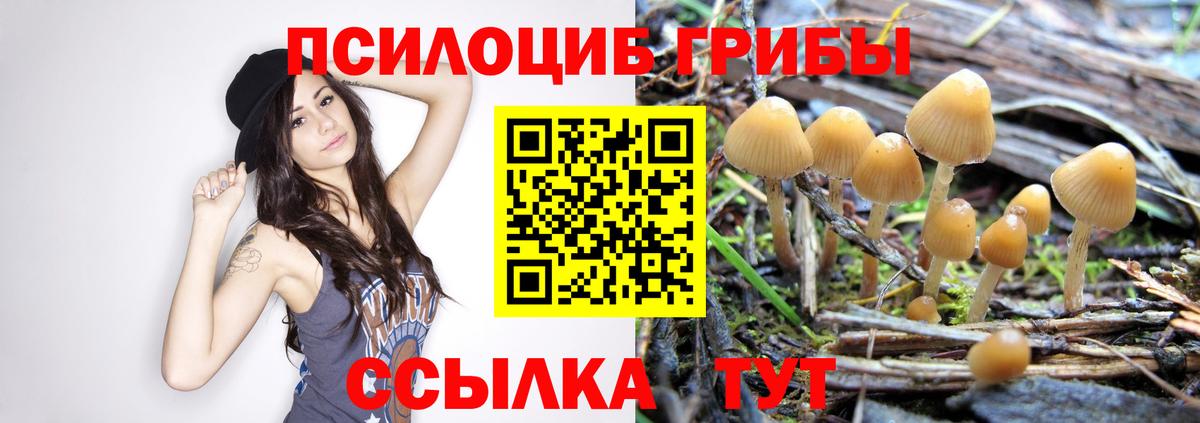 Сосновоборск  цена   Вход с VPN  Псилоцибиновые грибы Magic Shrooms 