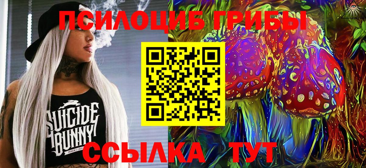 Псилоцибиновые грибы GOLDEN TEACHER Сосновоборск