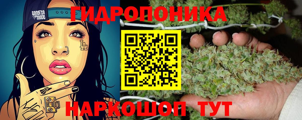 Сосновоборск  Конопля конопля  Вход с VPN  Канабис индика 